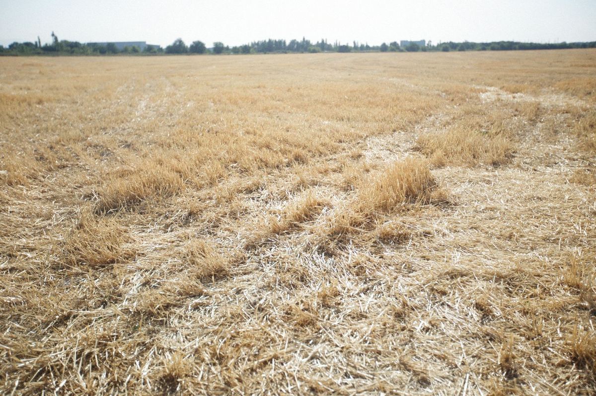 Organic Export Residue Testing & Tracenet Compliance