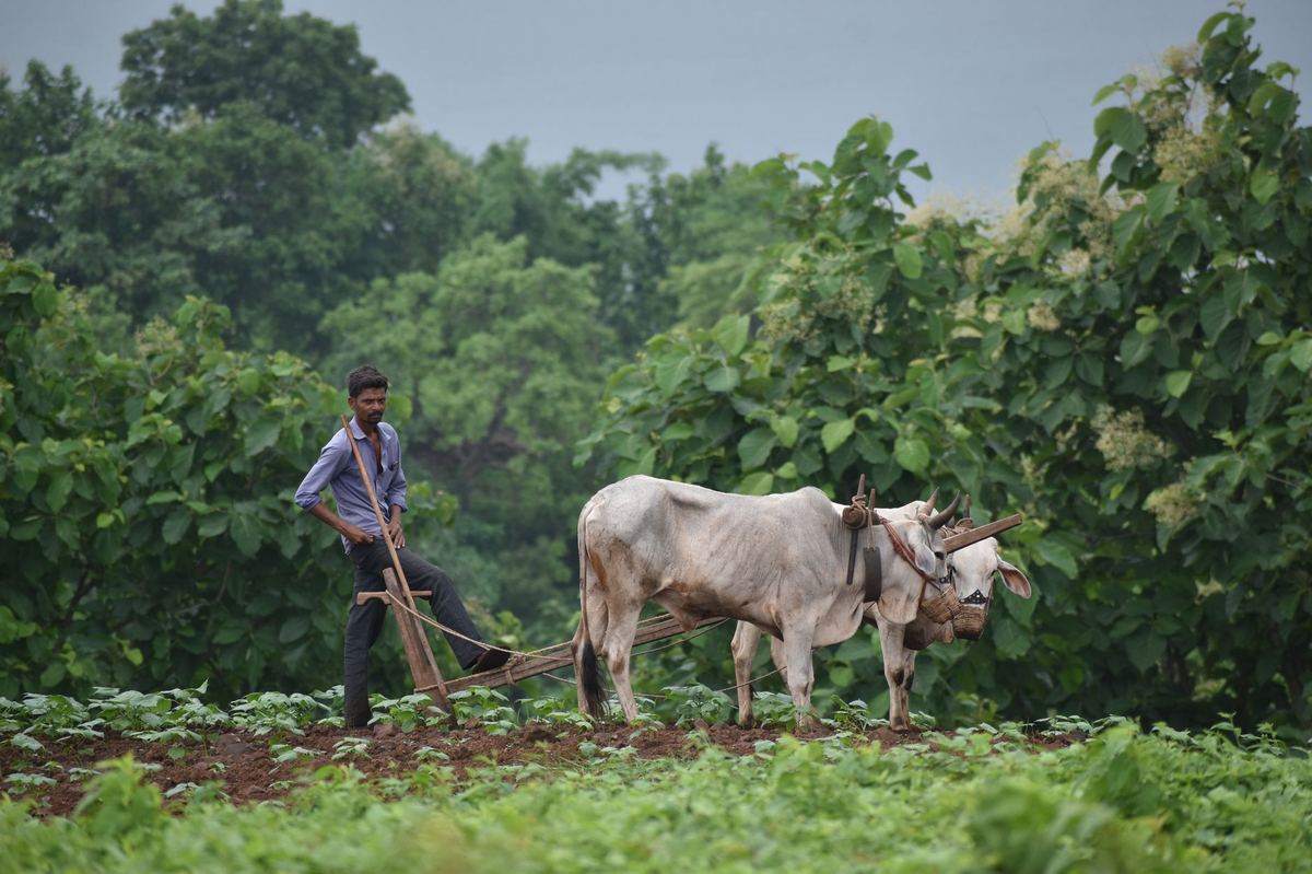 Farmer profile update NMNF: Manual Steps for Managers