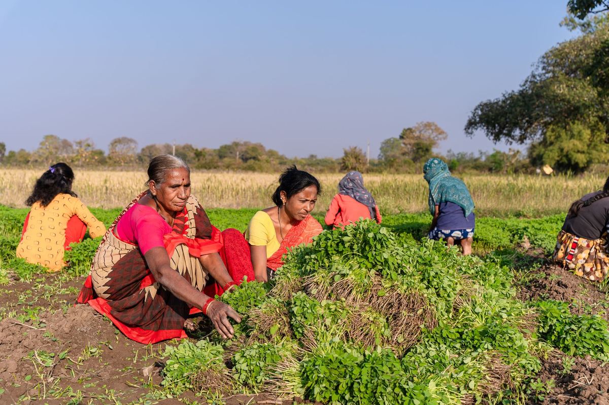 PGS India Local Group Registration: Setup and Farmer Entry