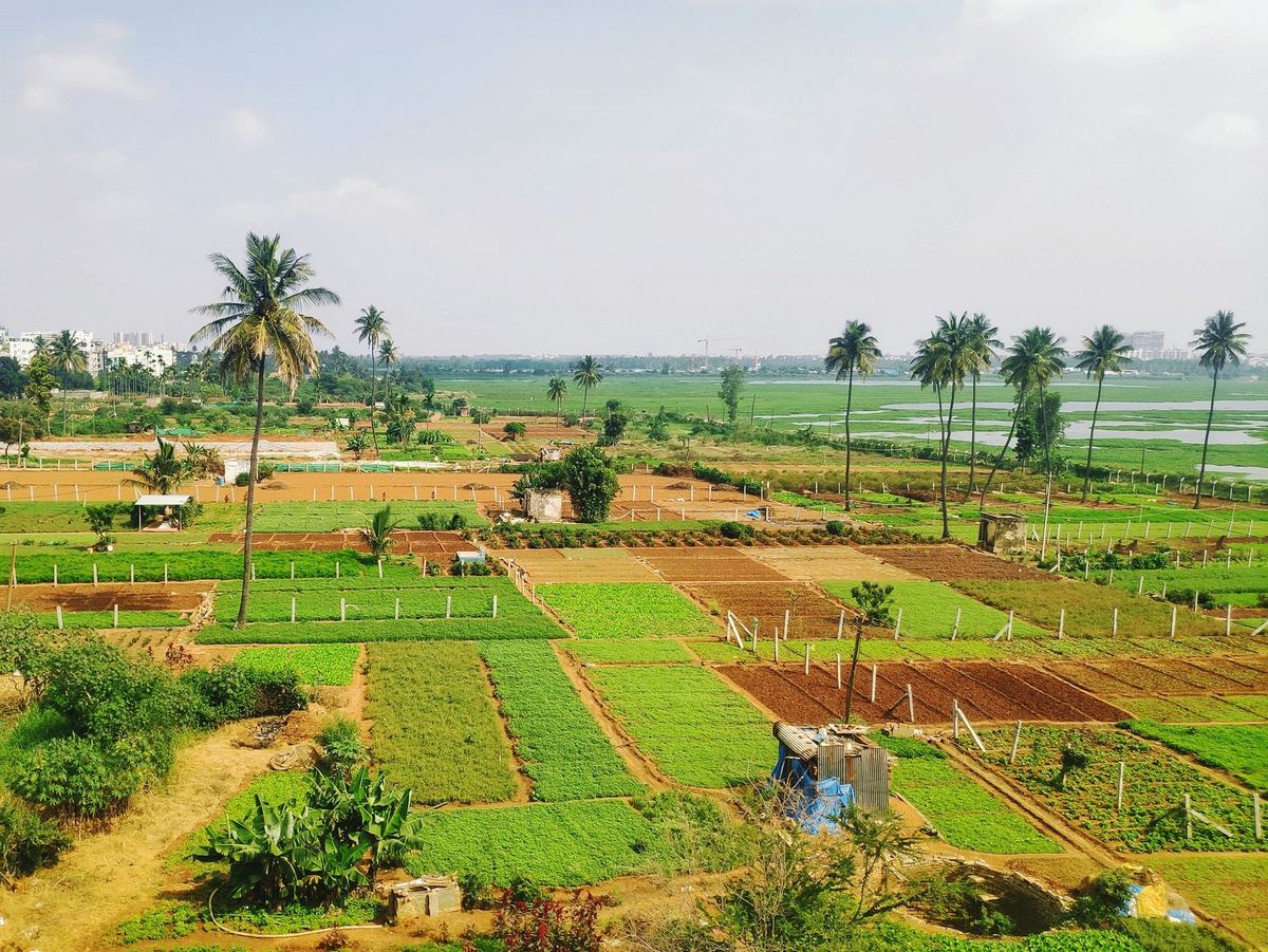 FPO Produce Cluster: How the Area Is Chosen