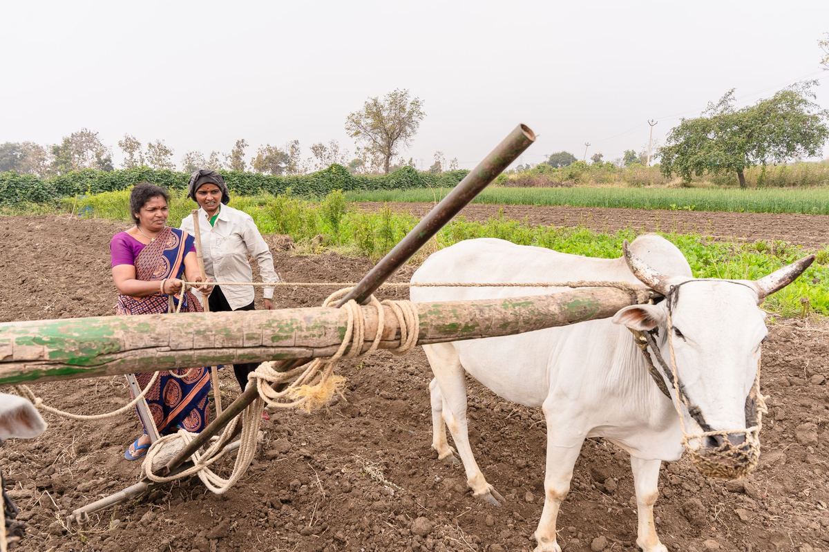 Kkisan Portal Data Verification for NMNF: Agency Guide