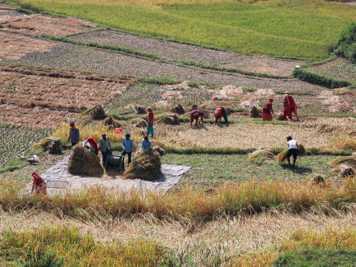Manage Farmer Groups PKVY: Transfer Farmers Between PGS
