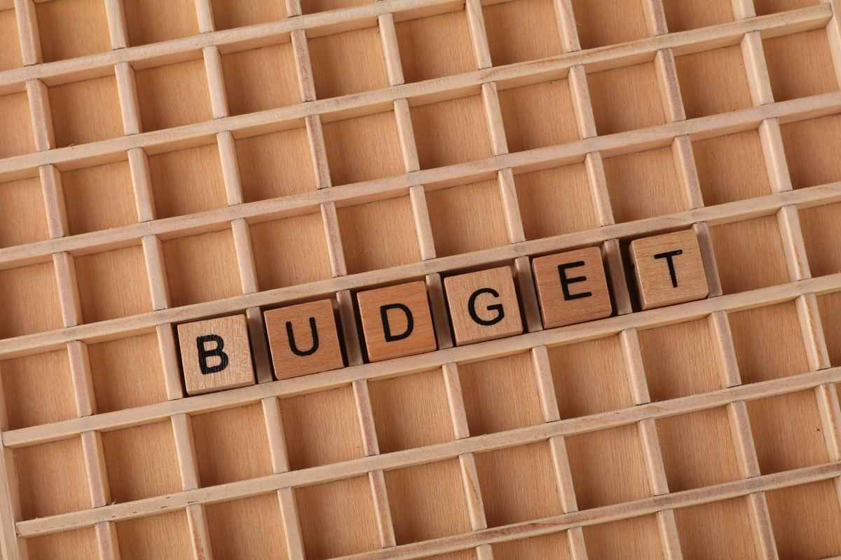 NMNF Budget Allocation: Tracking Funds & Breakdown