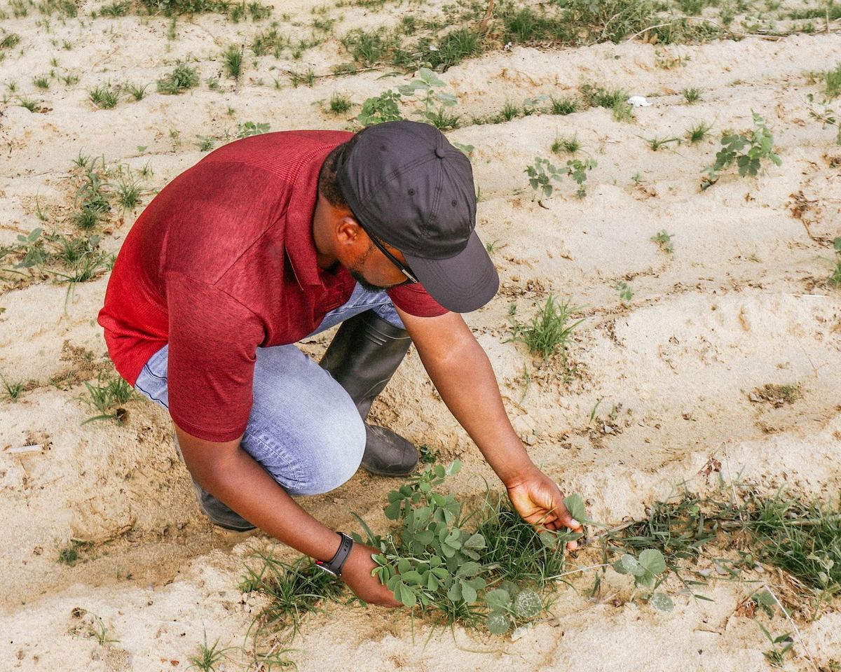NMNF farmer verification: Manual steps for peer appraisal