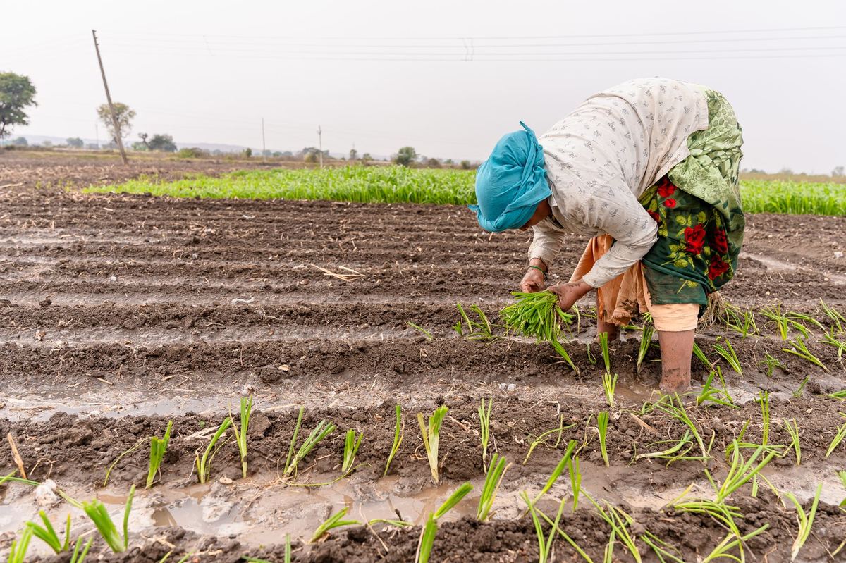 NPOP portal farmer registration FPO: CBBO Manual Steps
