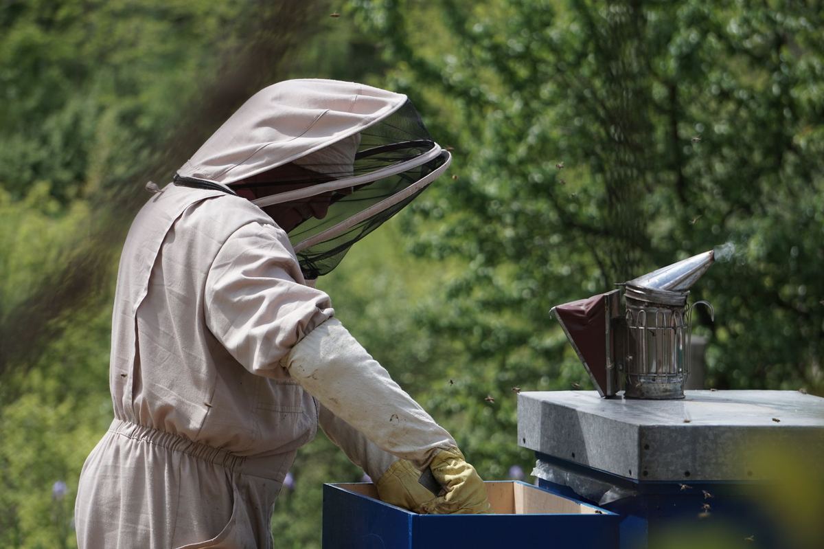 NPOP Rules for Livestock, Bees, Aquaculture and Mushrooms