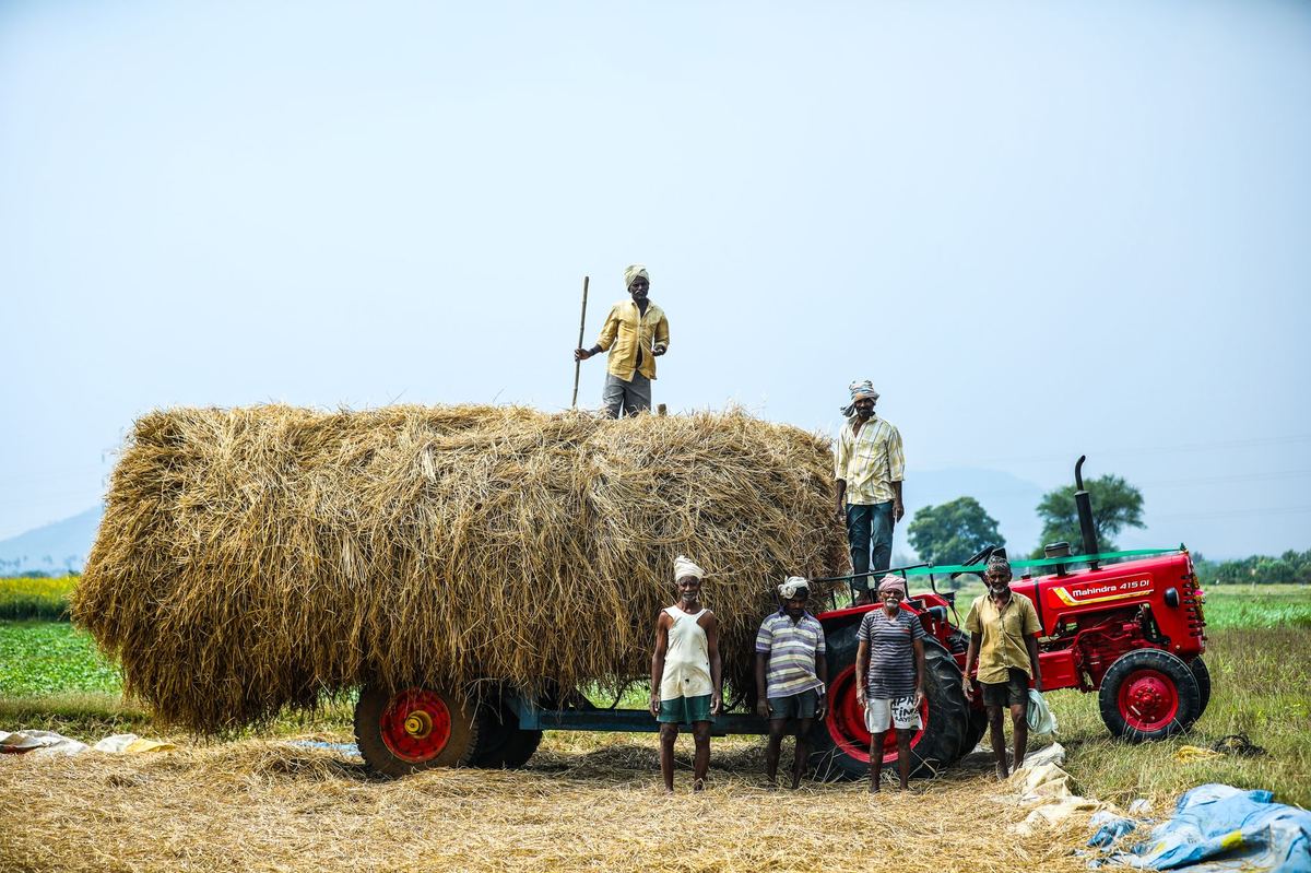 PGS India Crop Details Entry Error: Fix Acreage & Yield