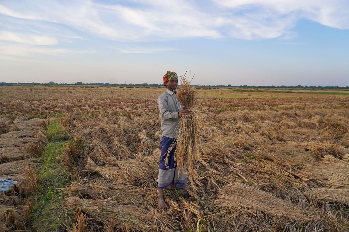 PGS India Crop Yield Harvest Update Error: Fix Guide