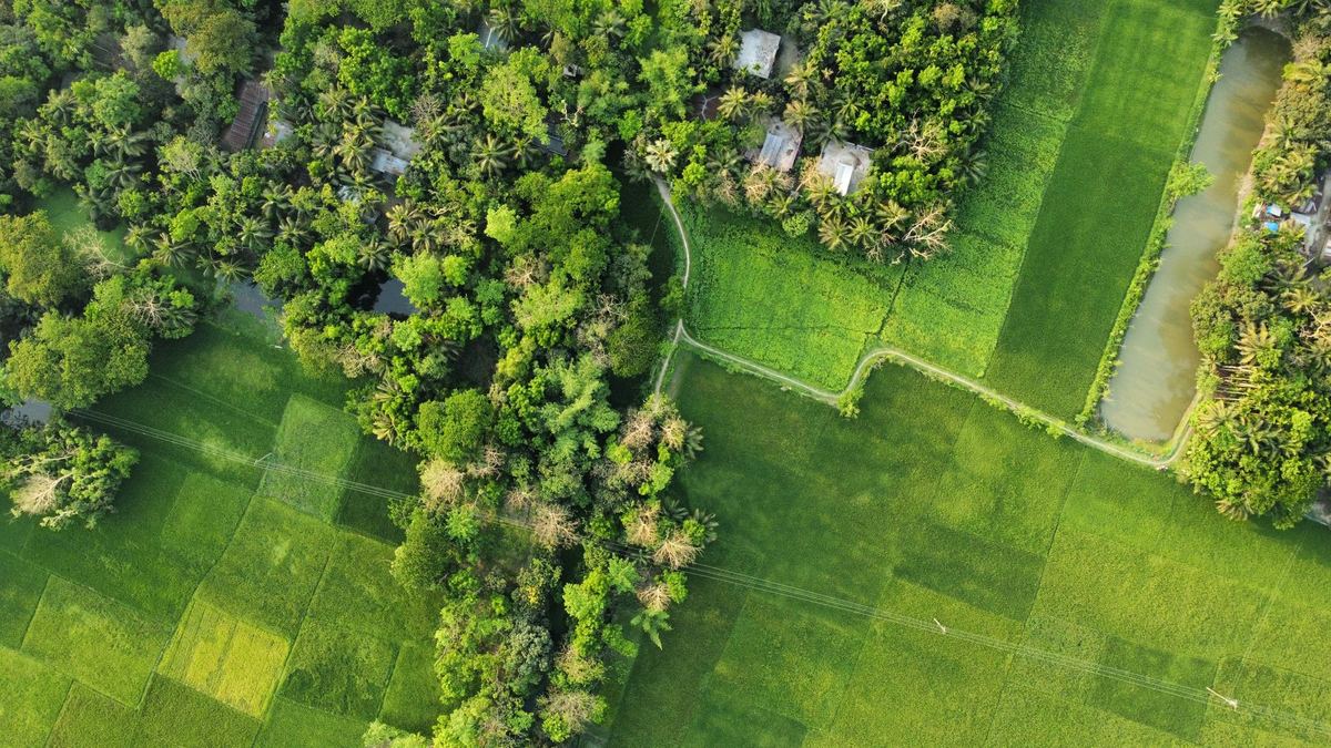 PGS India Land Allocation Update: Fix Acreage Mismatch