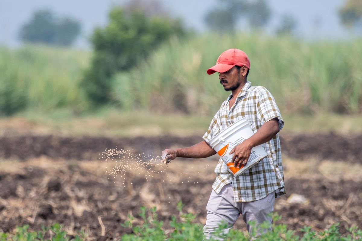 PGS India Seed Verification Portal: Derogation Guide