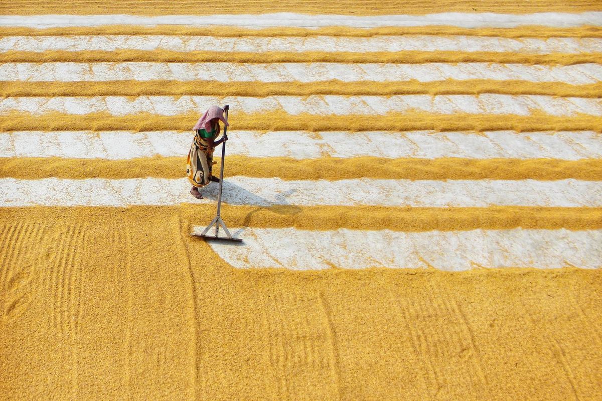 PKVY Subsidy Audit PGS India: Resolve Portal Approval Delays