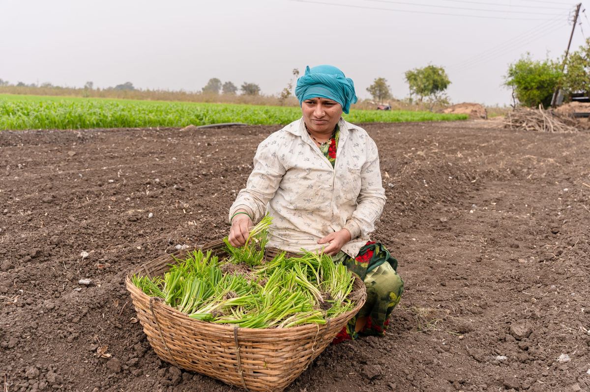 PGS India Bulk Farmer Registration: Save RCM Time