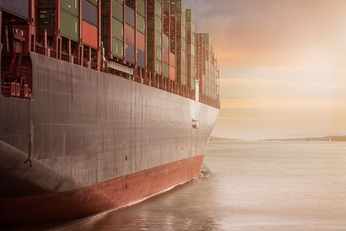 Why Organic Exports Run on NPOP, Not PGS